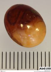 Foto von Opal (Edelopal)-Prehnit (NHMW-MIN-Ab6100)
